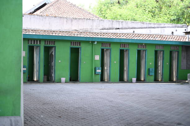 Best Affordable portable toilet rental  in Whitg, IN